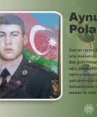 Poladov Aynur Şıxbaba-3